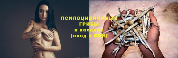 2c-b Беломорск