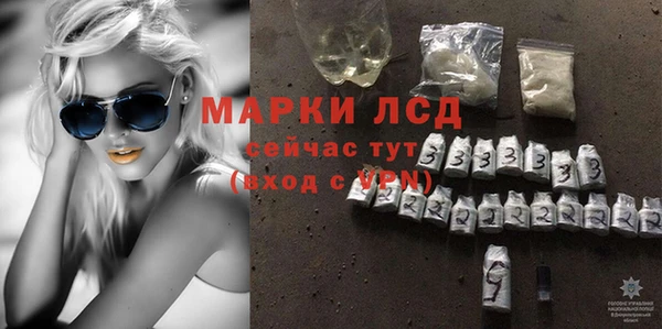 прущие грибы Саяногорск