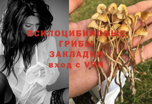 2c-b Беломорск