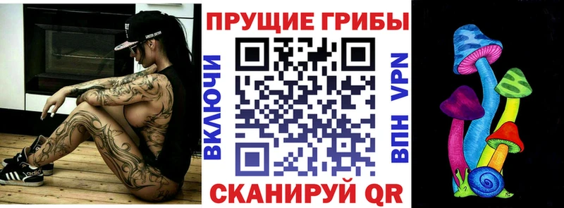 Галлюциногенные грибы Psilocybe Вуктыл